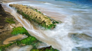 _MG_0681