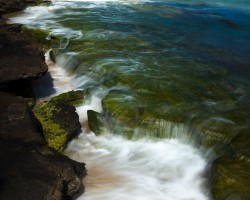 _MG_0702