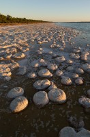 colour_thrombolite_reef_lake_clifton