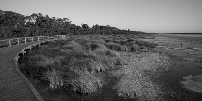 grasslands_at_lake_clifton