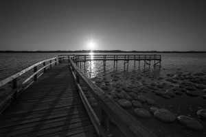 jetty_lake_clifton