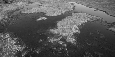 puddles_at_lake_clifton