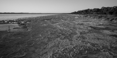 upper_thrombolite_reef_lake_clifton