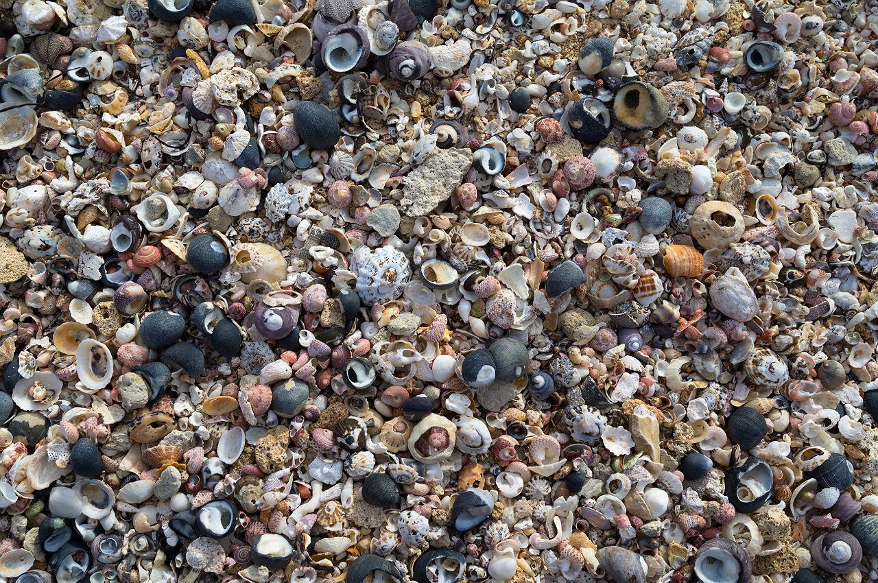 59_augusta_landscape_photography_sunset