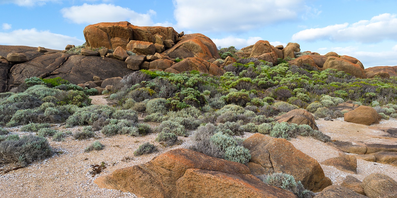 65_augusta_landscape_photography_sunset