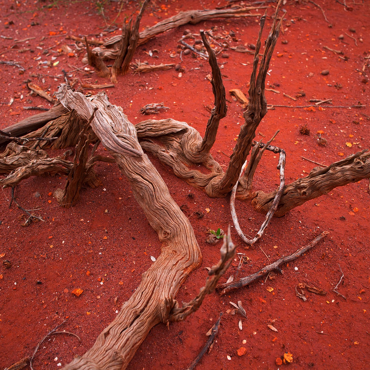 red-dirt-2