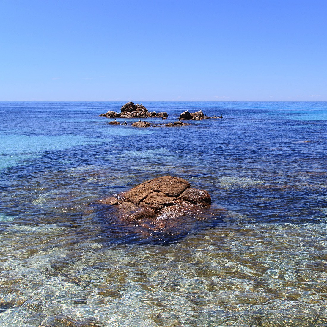 02_bunker_bay_western_australia