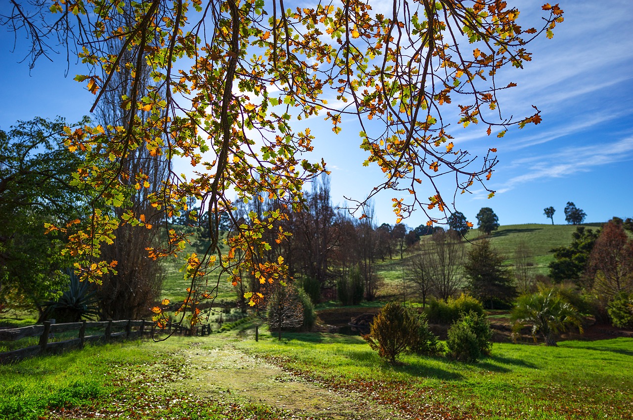 balingup-wa-homestead-golden-valley-02