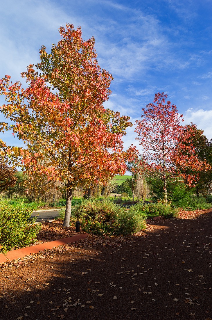 balingup-wa-homestead-golden-valley-03