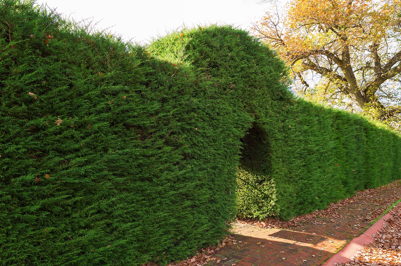 balingup-wa-homestead-golden-valley-04