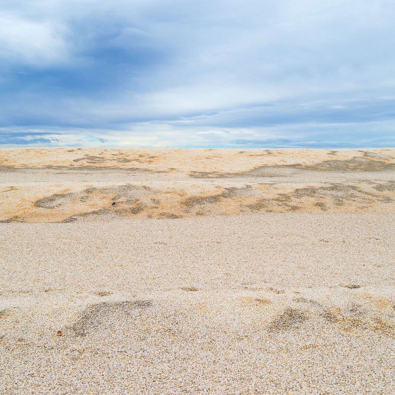 shark-bay-shell-beach-dunes