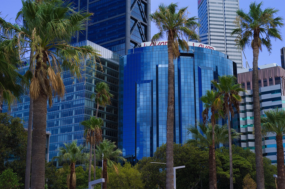 palm-trees-water-park-elizabeth-quay
