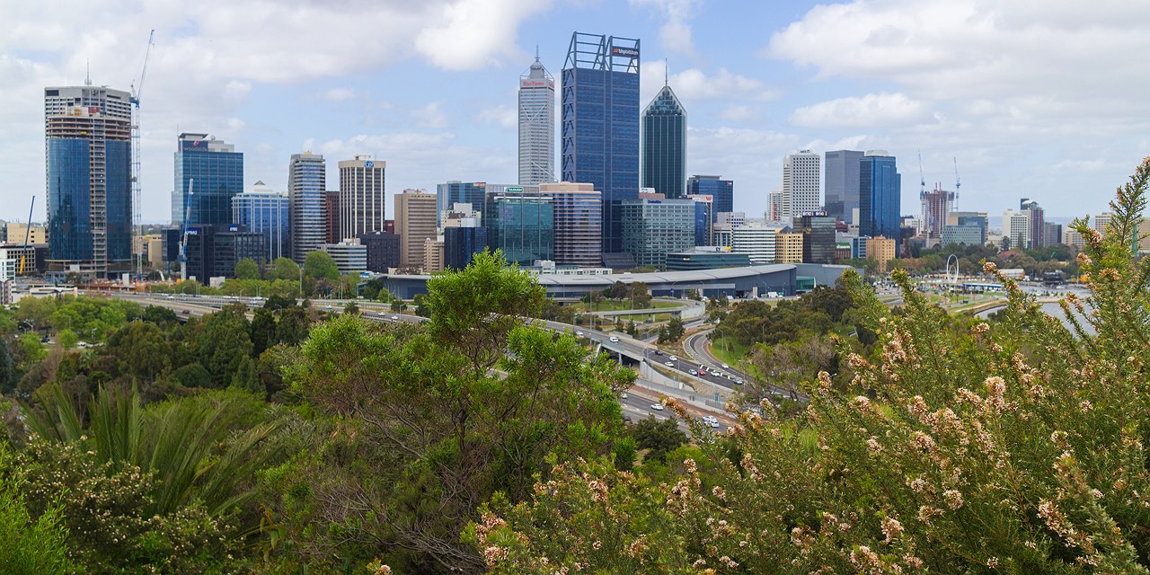 flowers-overlooking-perth-city-from-kings-park