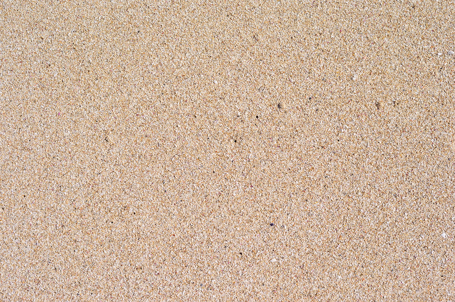 09_wyadup_beach