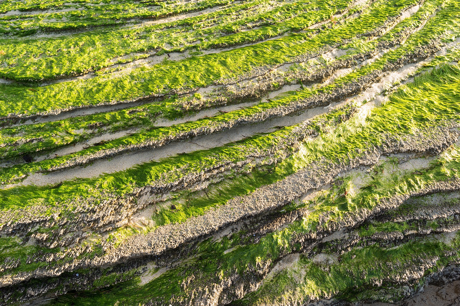 burns-beach-patterns