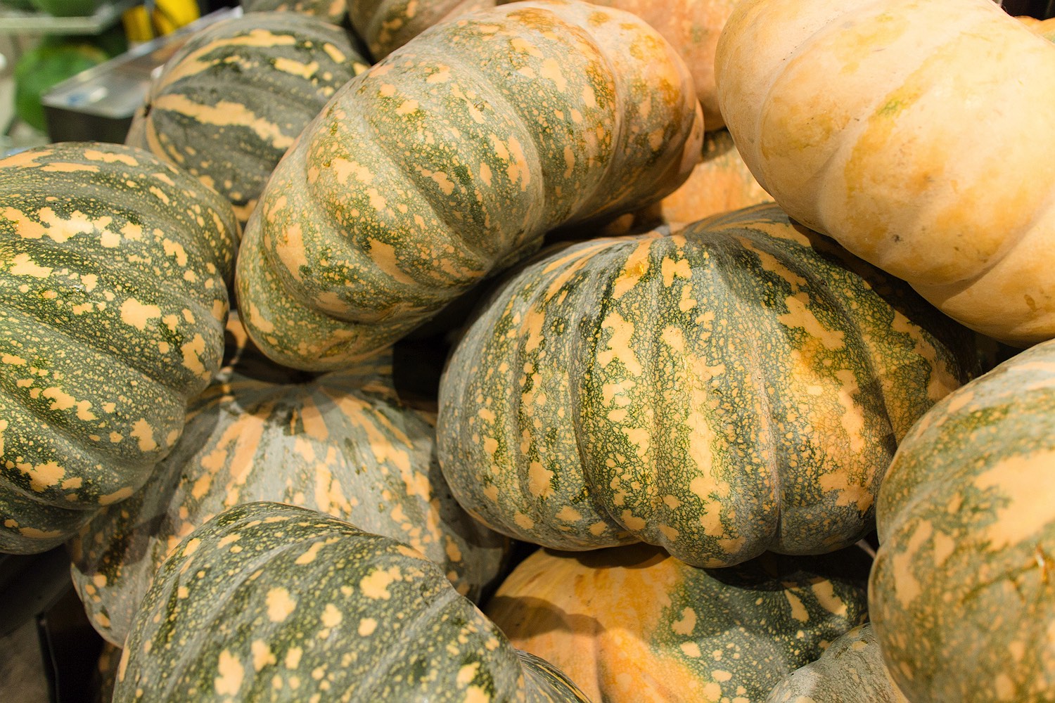 14_bunbury-farmers-market-rob-dose-pumpkin