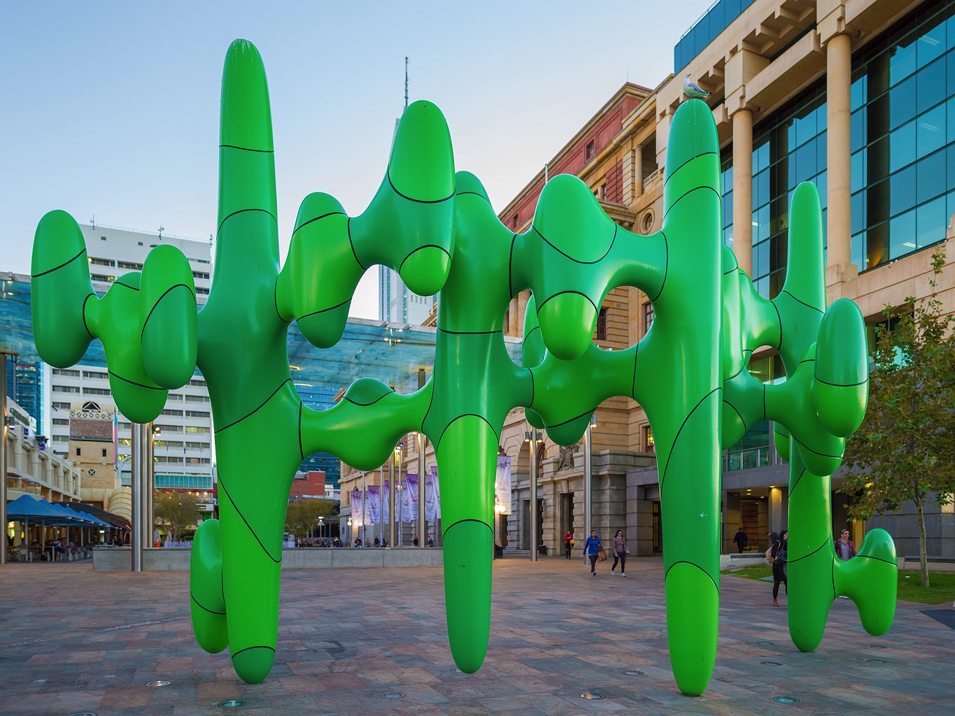 forrest-place-perth-cactus