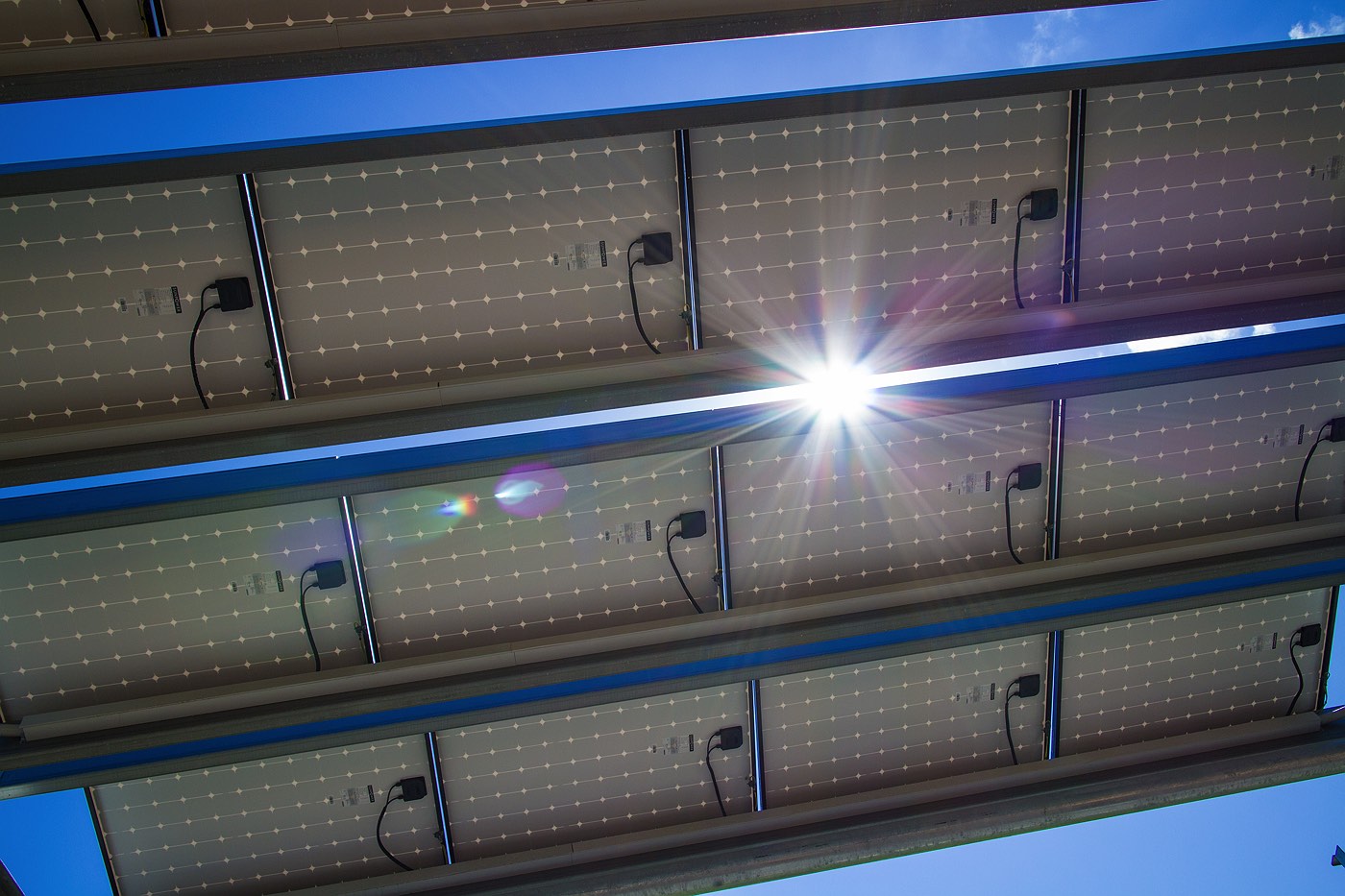 5_perth-zoo-solar-panel-shades