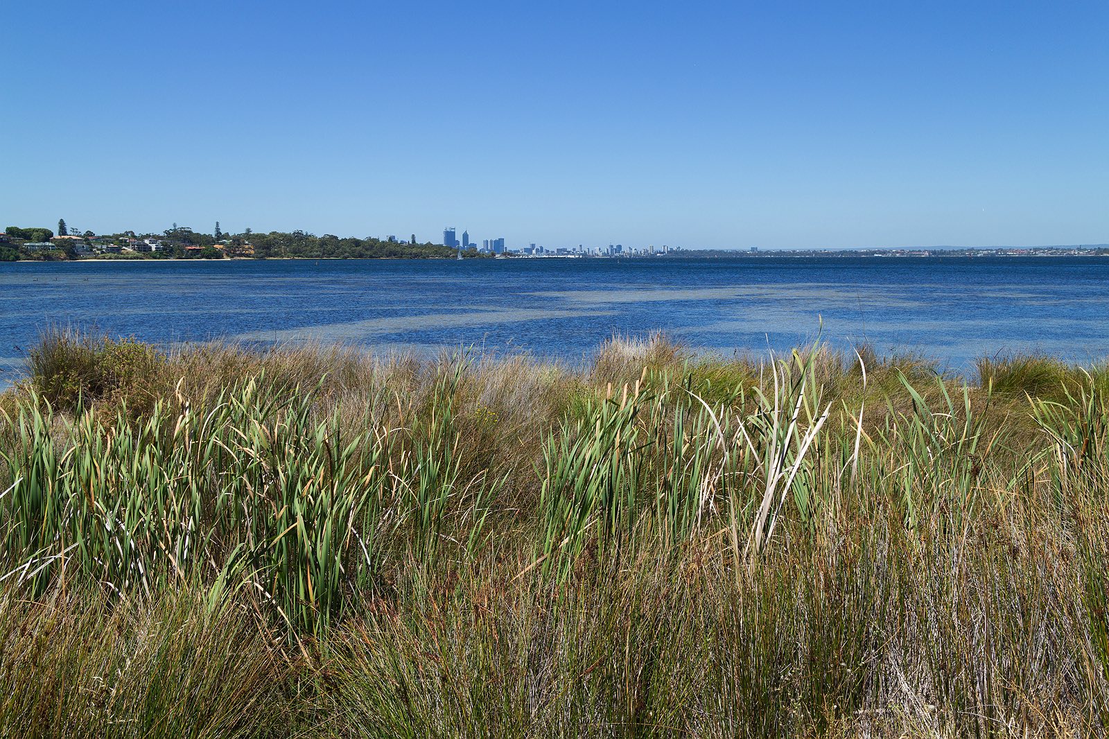 point-walter-swan-river-perth-1