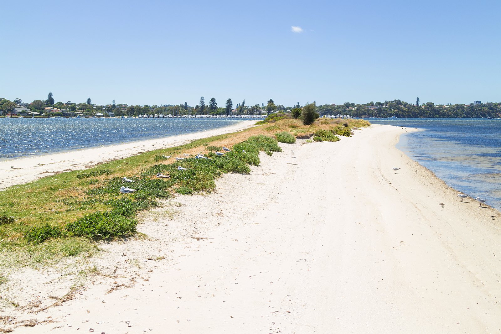 point-walter-swan-river-perth-11