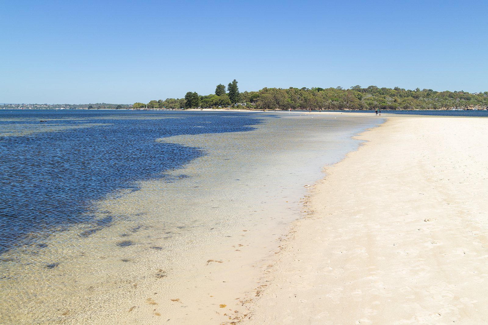 point-walter-swan-river-perth-12
