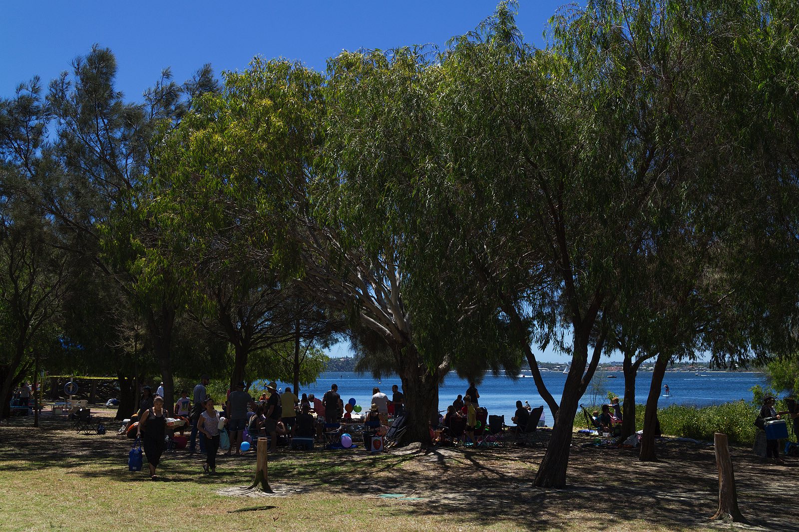 point-walter-swan-river-perth-3