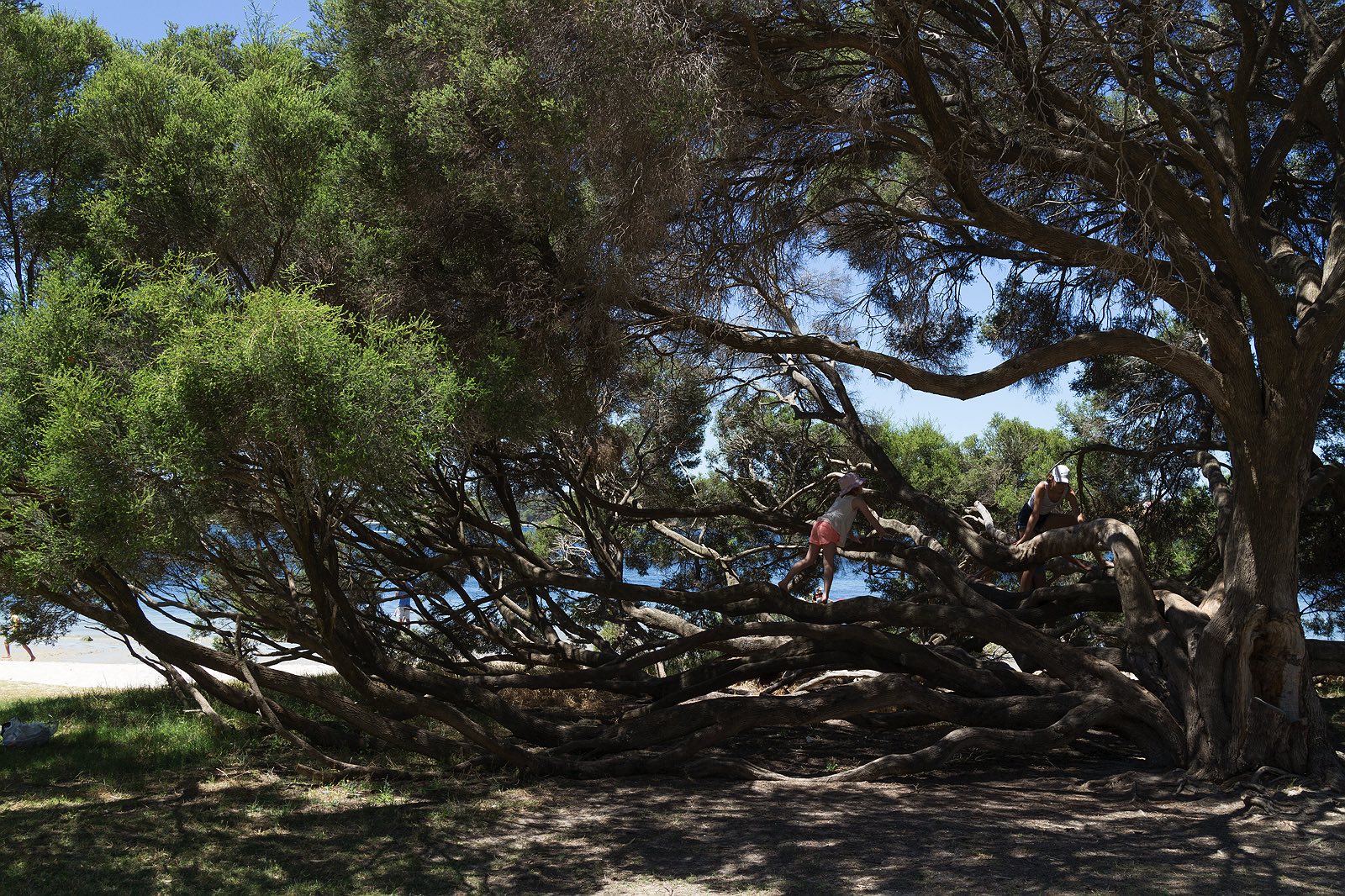 point-walter-swan-river-perth-4