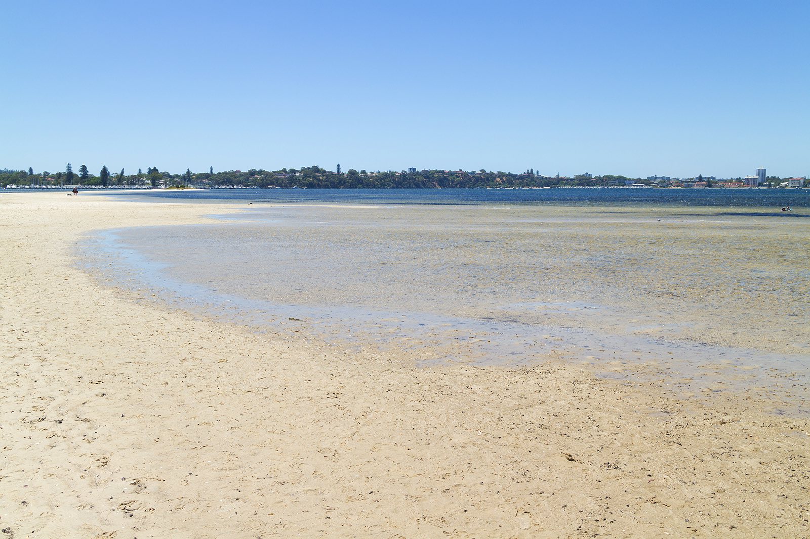 point-walter-swan-river-perth-8