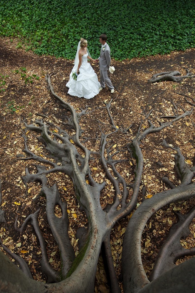 Rob Dose Gallery of my Favourite Wedding Photographs – Rob Dose, Landscape and ...